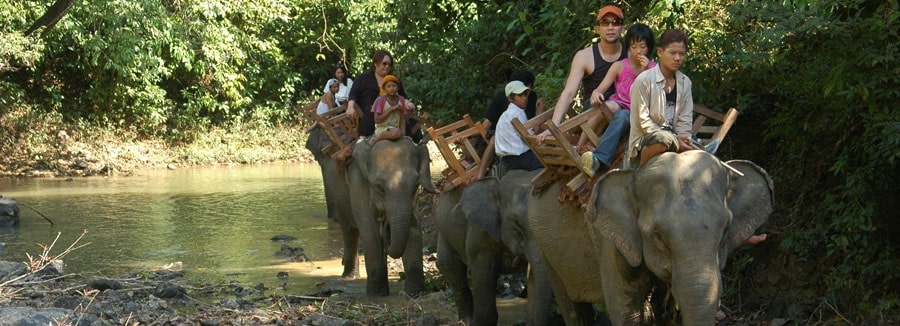 elephant tour 1
